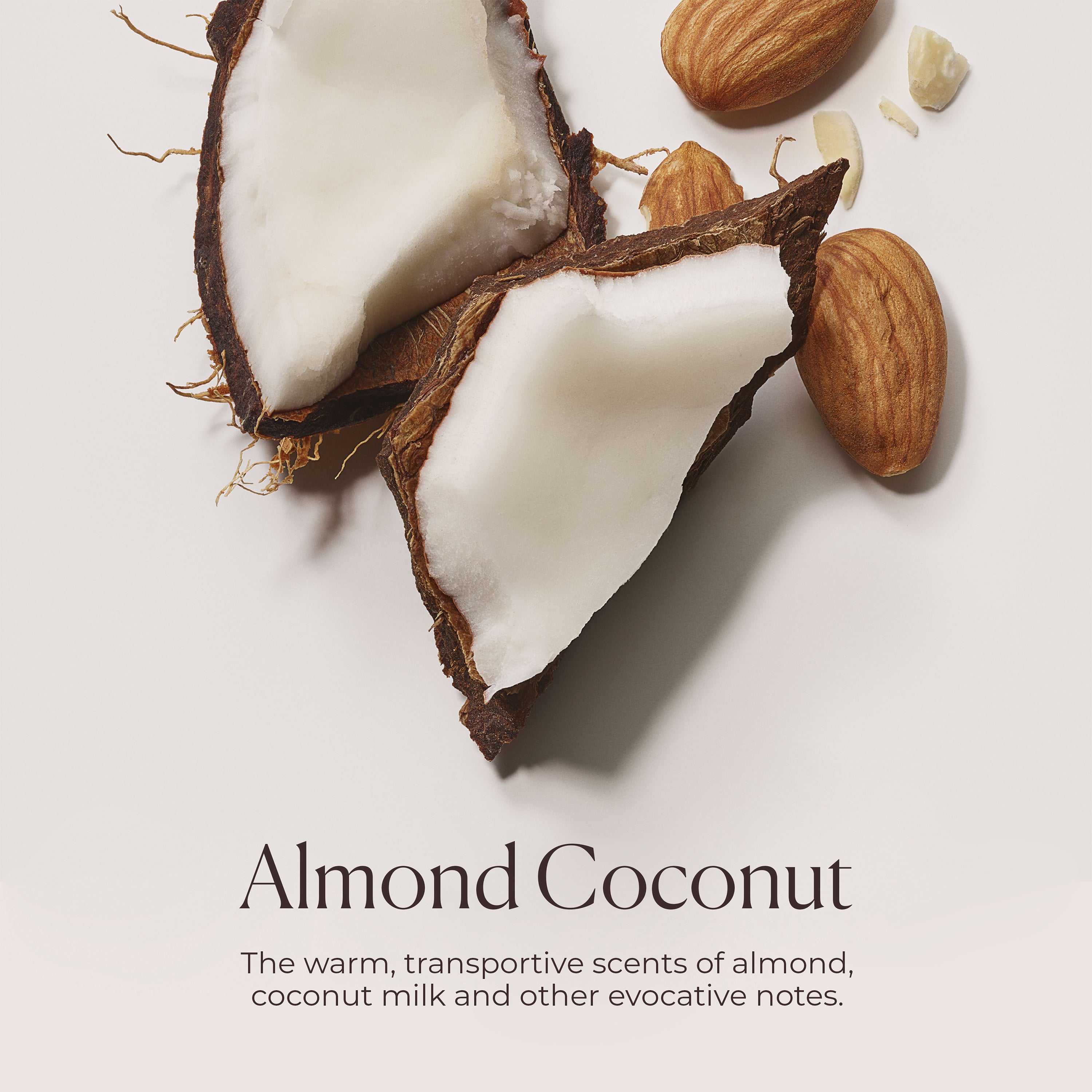 Almond Coconut Hydrating Body Wash