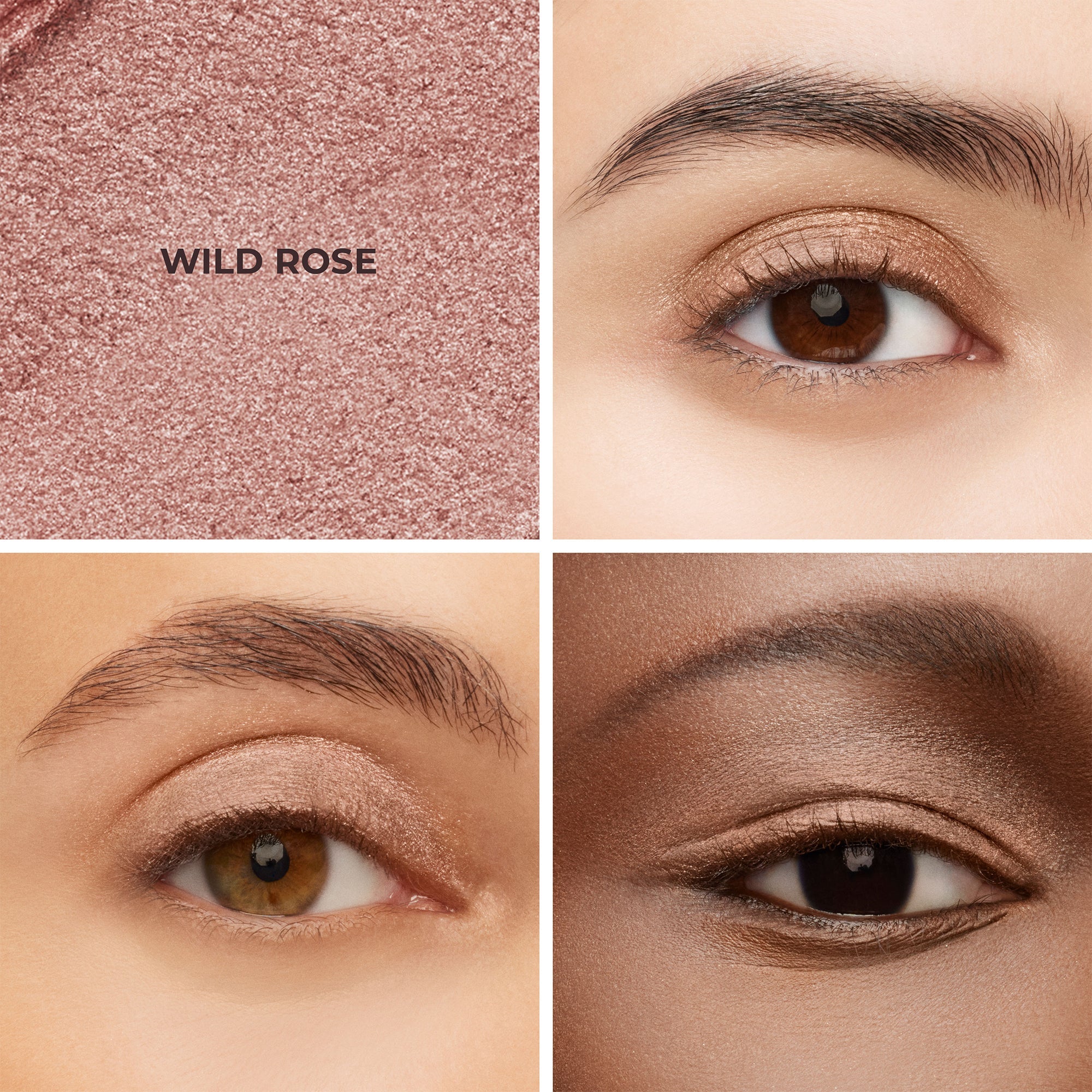 Wild Rose