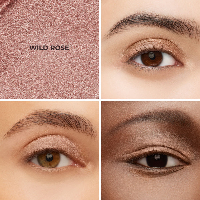 Wild Rose
