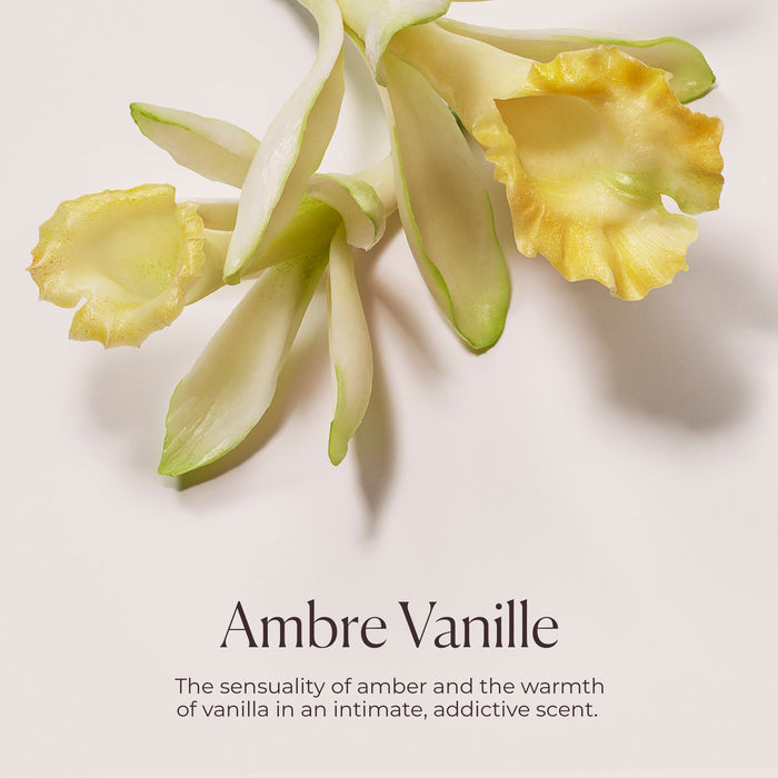 Ambre Vanille Hydrating Body Wash