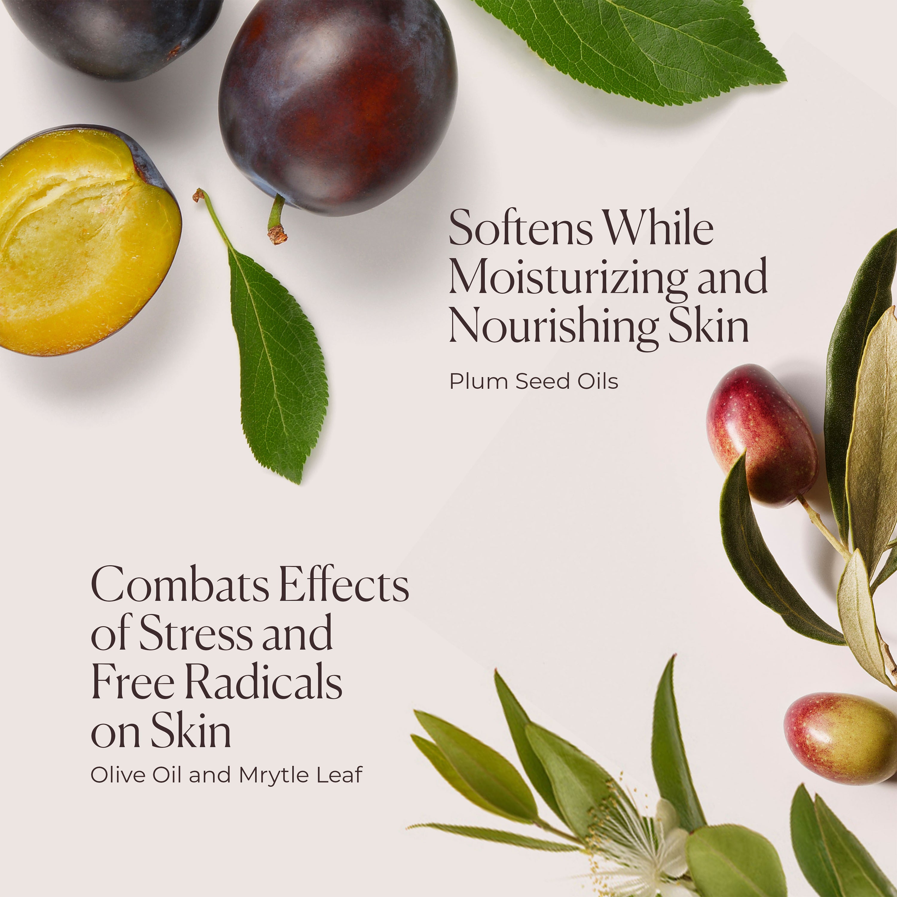 Néroli du Sud Hydrating Body Wash