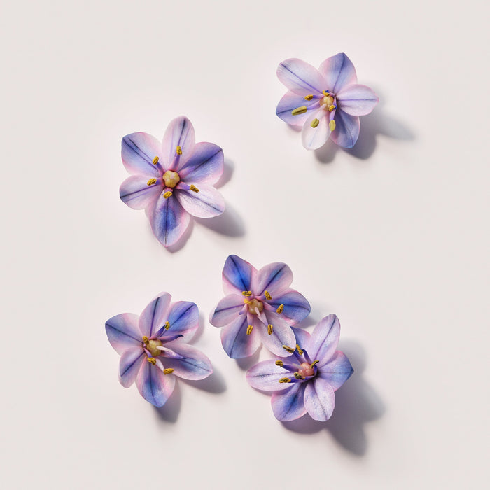 Néroli du Sud Serum Body Cream